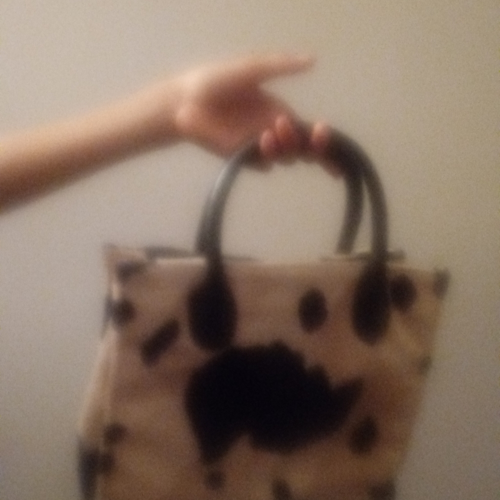Purses - Picture 3 of 6